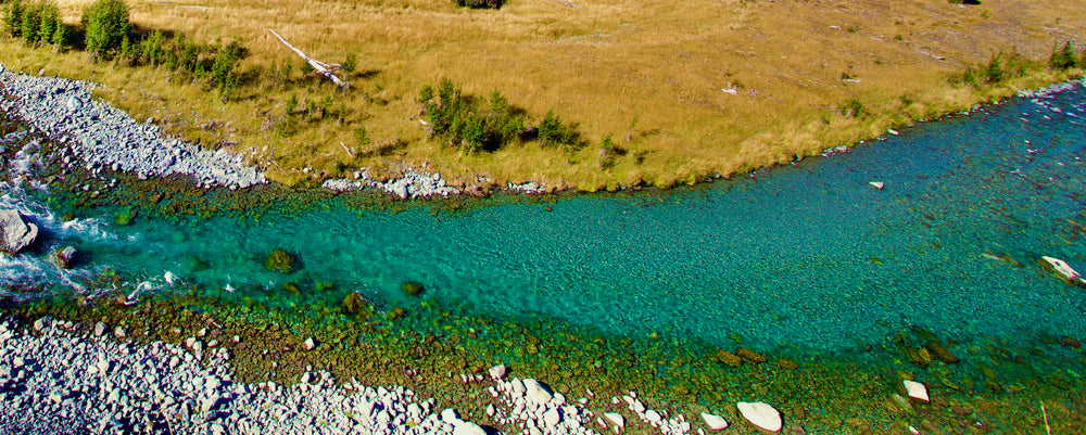 Fly Fish New Zealand's South Island