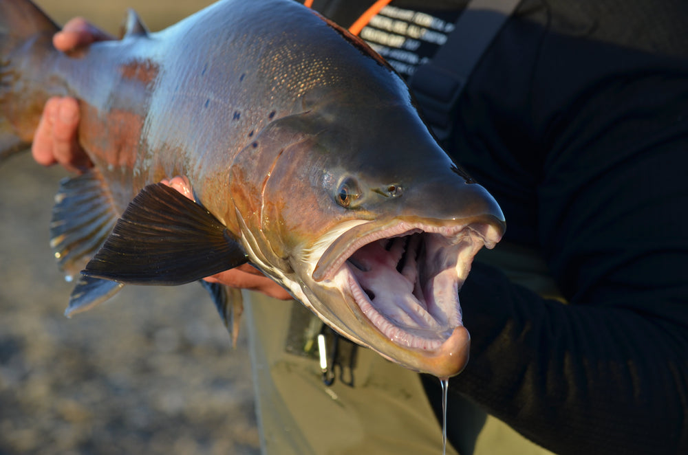 Fishing the Rio Grande