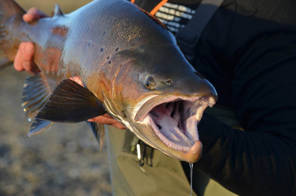 Fishing the Rio Grande