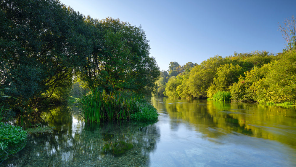 Chalkstream Tales