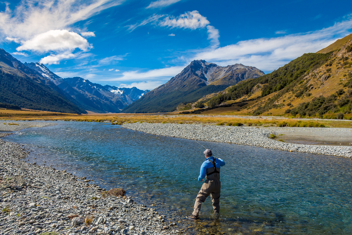Flies for South Island, New Zealand