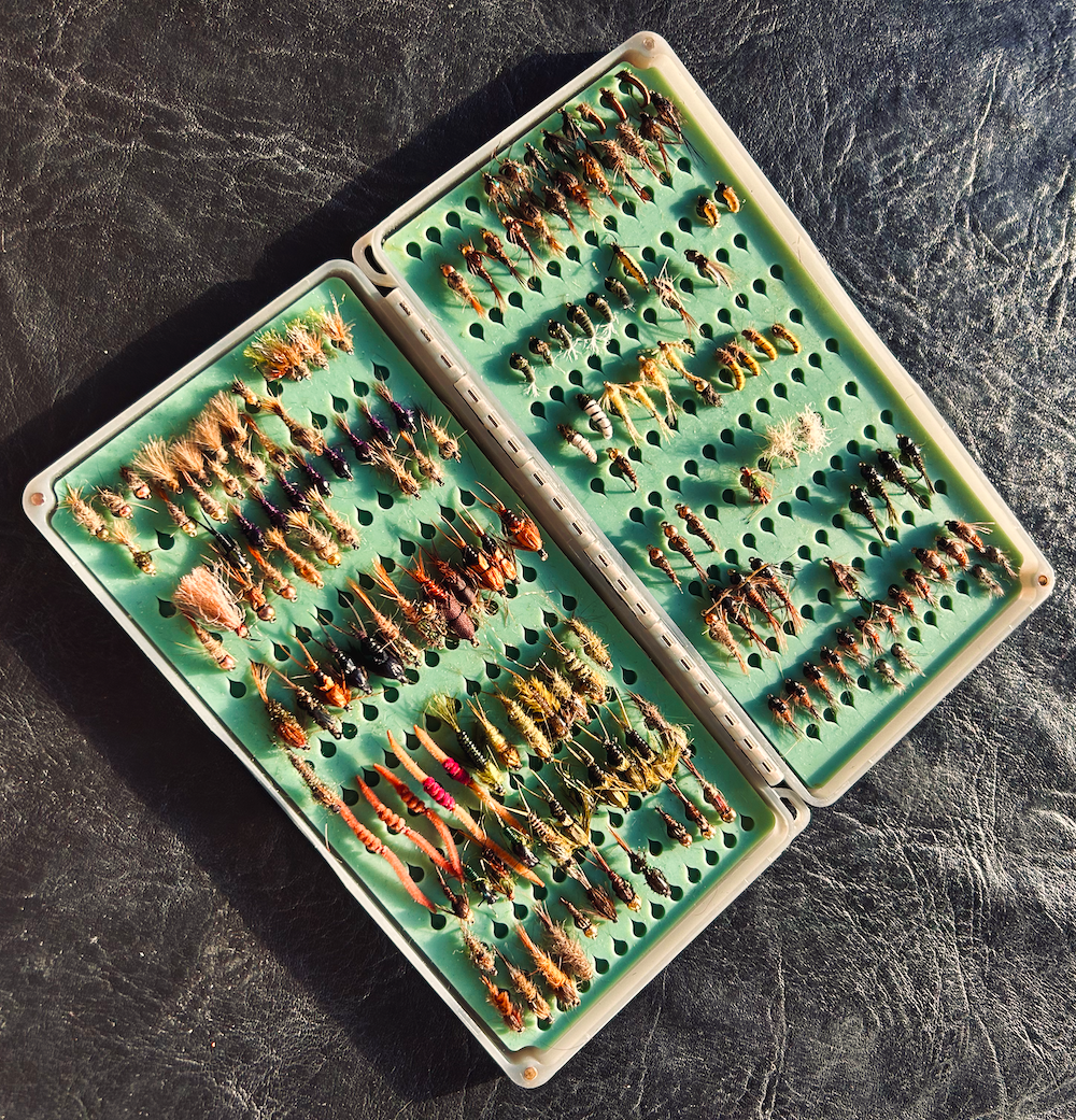 Flies for Northern Patagonia